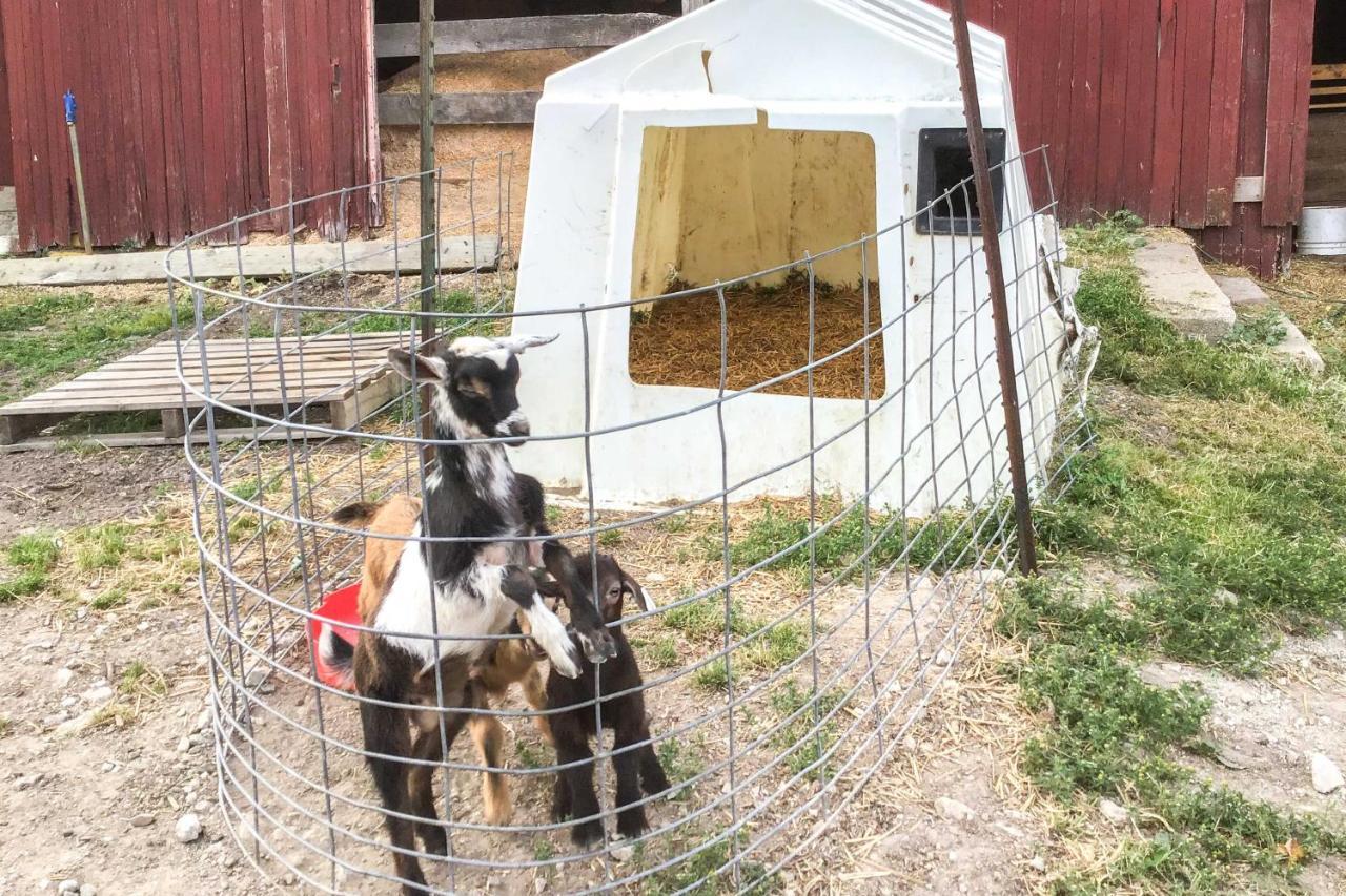 Cozy Goshen Studio Unique Farm Stay! Exterior foto