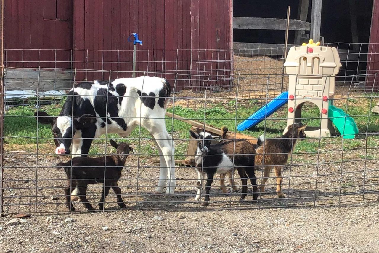 Cozy Goshen Studio Unique Farm Stay! Exterior foto